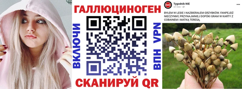 Псилоцибиновые грибы мухоморы Салаир